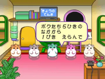 Hamster no Odekake (JP) screen shot game playing